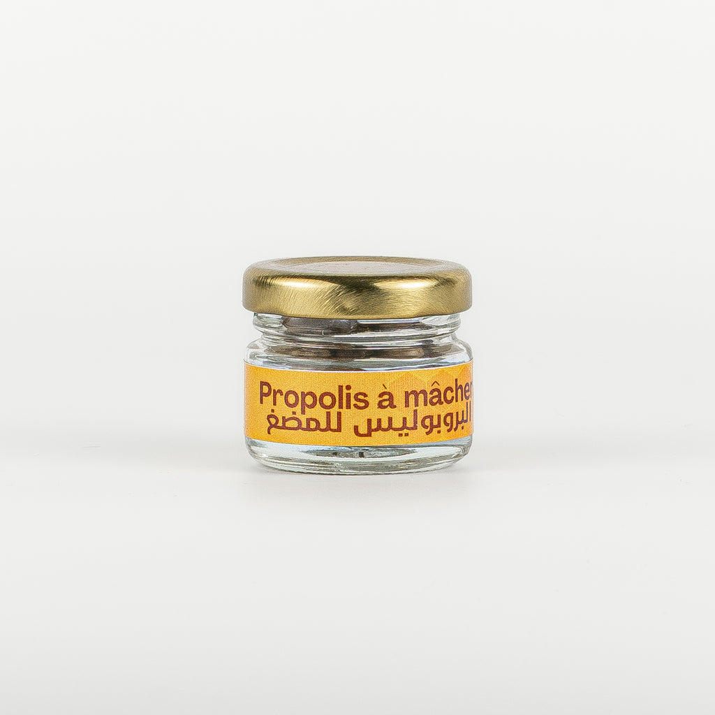 Propolis à macher